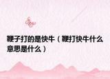 鞭子打的是快牛（鞭打快牛什么意思是什么）