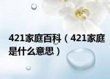 421家庭百科（421家庭是什么意思）