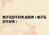 栀子花好不好养,如何养（栀子花好不好养）