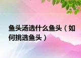 鱼头汤选什么鱼头（如何挑选鱼头）