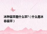 冰种翡翠是什么翠?（什么是冰春翡翠）
