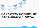 北冥有鱼其名为鲲这句话出自哪里（北冥有鱼其名为鲲鲲之大的下一句是什么）