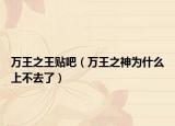 万王之王贴吧（万王之神为什么上不去了）