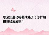 怎么知道马铃薯成熟了（怎样知道马铃薯成熟）