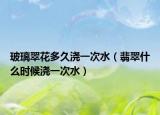 玻璃翠花多久浇一次水（翡翠什么时候浇一次水）