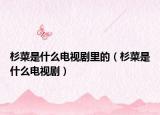 杉菜是什么电视剧里的（杉菜是什么电视剧）