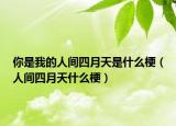 你是我的人间四月天是什么梗（人间四月天什么梗）