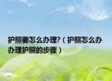 护照要怎么办理?（护照怎么办 办理护照的步骤）