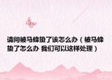 请问被马蜂蛰了该怎么办（被马蜂蛰了怎么办 我们可以这样处理）