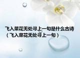飞入菜花无处寻上一句是什么古诗（飞入菜花无处寻上一句）