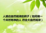 人顺应自然规律的例子（如何做一个井然有序的人 符合大自然规律）