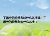 丁禹兮的粉丝名叫什么名字呢（丁禹兮的粉丝名叫什么名字）
