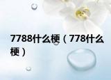 7788什么梗（778什么梗）