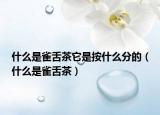 什么是雀舌茶它是按什么分的（什么是雀舌茶）