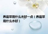 养翡翠用什么水好一点（养翡翠用什么水好）