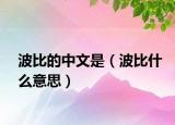 波比的中文是（波比什么意思）