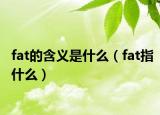 fat的含义是什么（fat指什么）