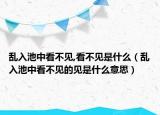 乱入池中看不见,看不见是什么（乱入池中看不见的见是什么意思）