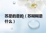 苏是的是的（苏糊糊是什么）