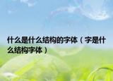 什么是什么结构的字体（字是什么结构字体）