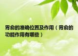 胃俞的准确位置及作用（胃俞的功能作用有哪些）
