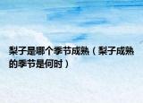 梨子是哪个季节成熟（梨子成熟的季节是何时）