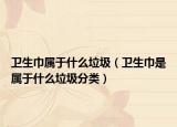 卫生巾属于什么垃圾（卫生巾是属于什么垃圾分类）