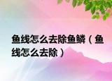 鱼线怎么去除鱼鳞（鱼线怎么去除）