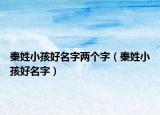 秦姓小孩好名字两个字（秦姓小孩好名字）