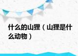 什么的山狸（山狸是什么动物）