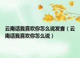 云南话我喜欢你怎么说发音（云南话我喜欢你怎么说）