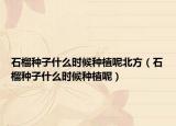 石榴种子什么时候种植呢北方（石榴种子什么时候种植呢）