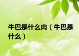 牛巴是什么肉（牛巴是什么）