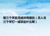 第三个字是月成语有哪些（月人生三个字打一成语是什么呢）