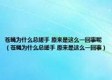 苍蝇为什么总搓手 原来是这么一回事呢（苍蝇为什么总搓手 原来是这么一回事）