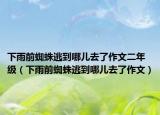 下雨前蜘蛛逃到哪儿去了作文二年级（下雨前蜘蛛逃到哪儿去了作文）