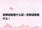 发酵读音是什么读（发酵读音是什么）