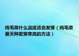 鸡毛菜什么温度适合发芽（鸡毛菜夏天种发芽率高的方法）