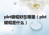 pbt键帽好在哪里（pbt键帽是什么）