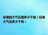 标准的大气压是多少千帕（标准大气压多少千帕）
