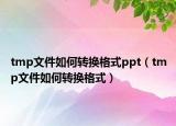 tmp文件如何转换格式ppt（tmp文件如何转换格式）