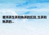 普洱茶生茶和熟茶的区别_生茶和熟茶的...