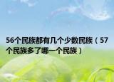 56个民族都有几个少数民族（57个民族多了哪一个民族）