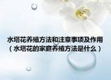 水塔花养殖方法和注意事项及作用（水塔花的家庭养殖方法是什么）