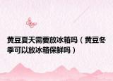 黄豆夏天需要放冰箱吗（黄豆冬季可以放冰箱保鲜吗）