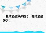 一扎啤酒是多少钱（一扎啤酒是多少）