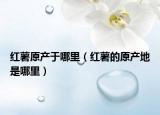 红薯原产于哪里（红薯的原产地是哪里）