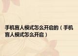 手机盲人模式怎么开启的（手机盲人模式怎么开启）