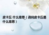 皮卡丘 什么意思（请问皮卡丘是什么意思）