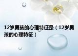12岁男孩的心理特征是（12岁男孩的心理特征）
